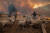 터키 물라주 마르마리스 주민들이 다가오는 불길을 피해 양들을 대피시키고 있다. AFP=연합뉴스