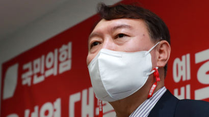 '스텔스기 반대' 국보법 혐의자, 올초엔 尹탄핵 광고 모금