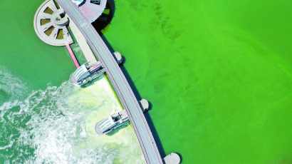 [사진] 초록색으로 변한 낙동강