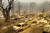 5일(현지시간) 딕시 화재로 불에 탄 플러머스 카운티 그린빌의 모습. AP=연합뉴스