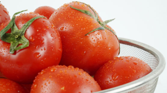 맛과 영양 다 잡은 토마토 밥상…면역력 높이고 성인병도 예방해요