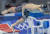 도쿄올림픽 남자 자유형 100,m 결승에서 스타트하는 황선우 [도쿄=올림픽사진공동취재단]