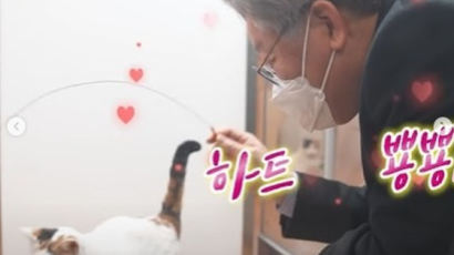 이재명·김두관 "세계고양이의날 축하"… 반려묘 양육자 370만명