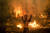 8일(현지시간) 그리스 북부 에비아섬 페프키 마을에서 한 주민이 산불을 끄기 위해 고군분투하고 있다. [AFP=연합뉴스] 