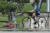 폭염이 이어졌던 지난달 25일 오후 서울 여의도공원에 지열로 뜨거워진 도로에서 아지랑이가 피어오르고 있다. 연합뉴스