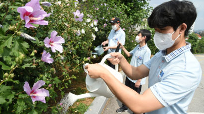 어느새 사라진 나라꽃…LG, 초중고에 무궁화 5000그루 보급 