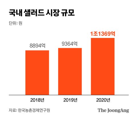 국내 샐러드 시장 규모. 그래픽=차준홍 기자 cha.junhong@joongang.co.kr