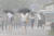 지난 8일 서울 마포구 홍대 인근에서 갑작스런 소나기가 내리자 시민들이 우산을 쓰고 바삐 이동하고 있다. 연합뉴스