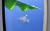 제76주년 광복절인 15일 경북도가 진행한 '울릉도(독도) 무착륙 비행 행사'에서 항공기 창밖으로 독도가 내려다 보이고 있다. 사진 경북도