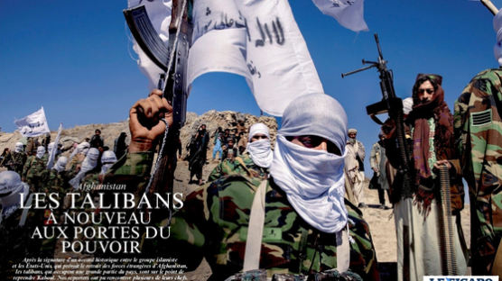 탈레반이 3군사 출신? 아프간에 뜬 한국군 '개구리 전투복' 왜