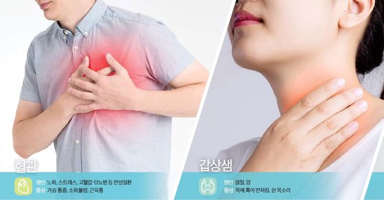 [건강한 가족] 혈관·관절·장기도 칼슘 쌓여 ‘녹슨다’...만성 염증·암 시그널? | 중앙일보