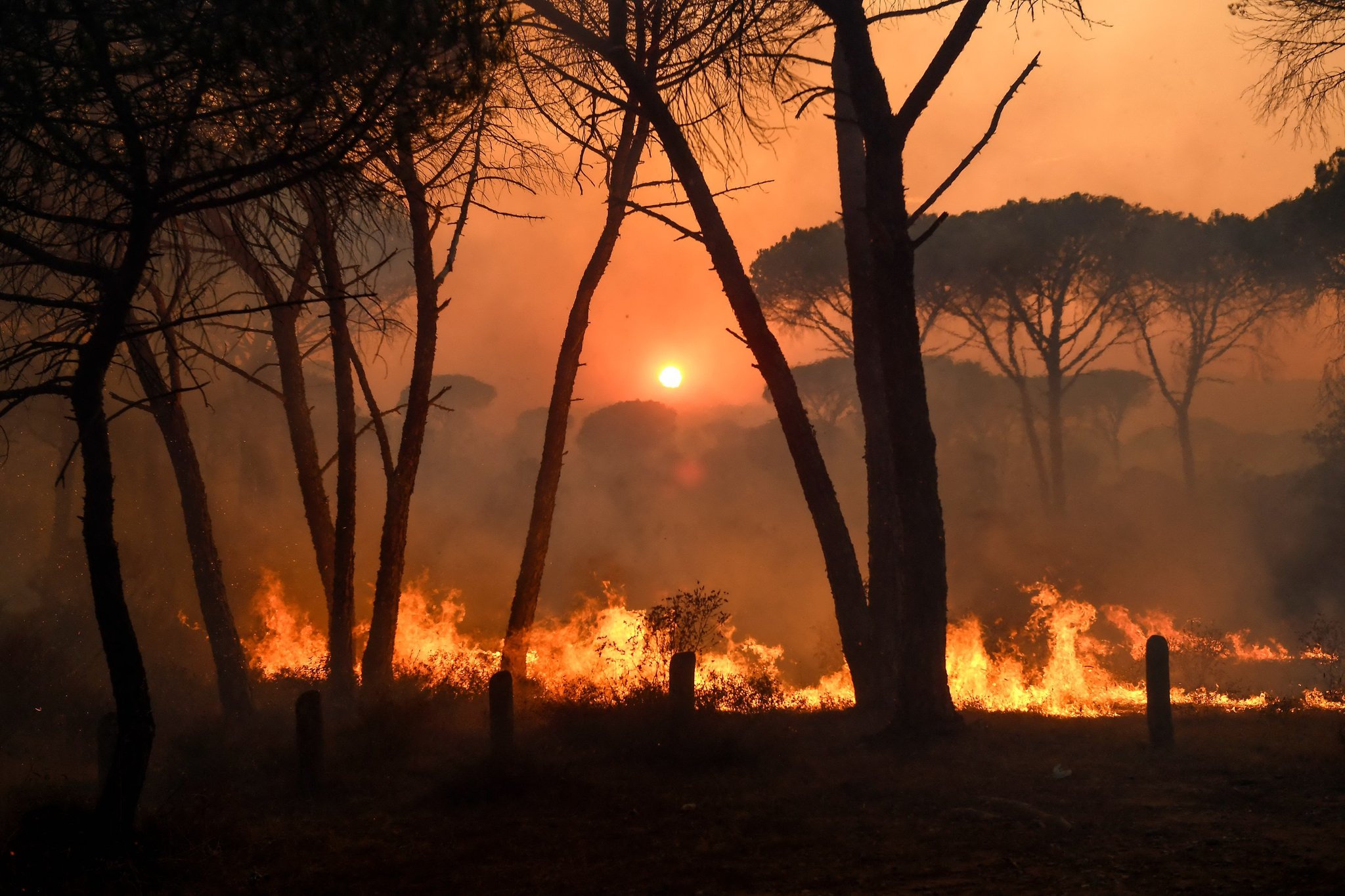 [이 시각] 프랑스 남부도 대형 산불, 6000여명 대피