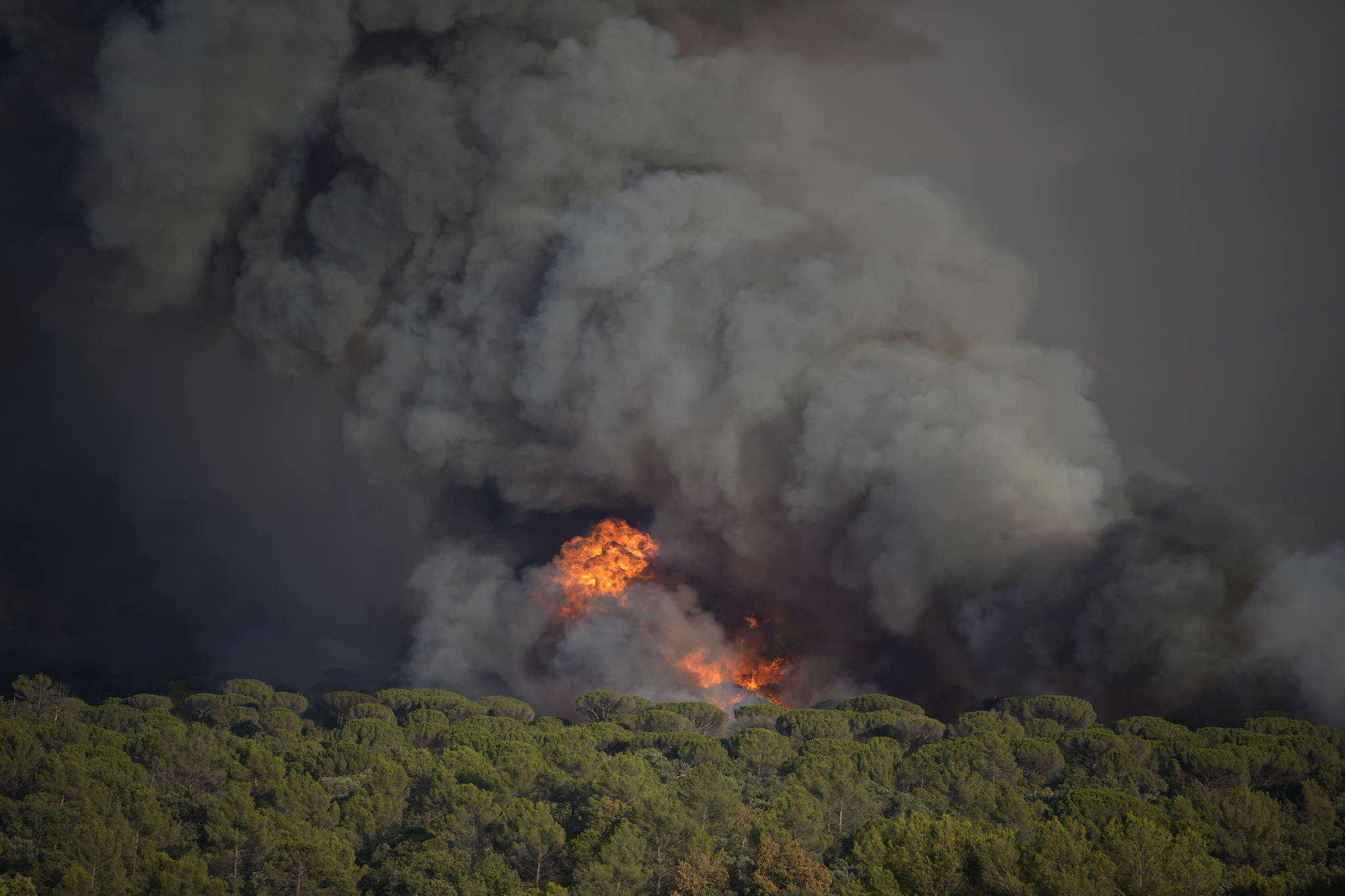 남프랑스 레 룩 근처의 숲에서 산불이 발생해 화염과 연기가 치솟고 있다. AP=연합뉴스