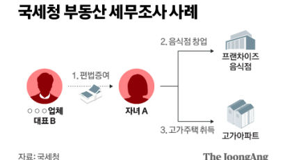 급증한 '부모 찬스' 20대 집주인…국세청 세무조사 착수