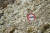 아이티 람페 지역의 도로에 서 있던 교통표지판이 산사태로 흘러내린 토사에 묻혀 있다. AP=연합뉴스