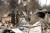 예수 그리스도와 성모상이 19일(현지시각) 산불로 전소된 건물 잔해 속에 서 있다. 미국 캘리포니아에서 발생한 캐시 산불이 휩쓸고 간 크릭사이드 모바일 홈 파크 현장 모습. AFP=연합뉴스