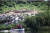 19일 인천 남동유수지에 마련된 인공섬 부근에서 남동구청과 보호단체 관계자들이 폐사한 생물 수거 작업을 벌이고 있다. 우상조 기자