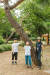 김휘윤(맨 왼쪽) 학생모델과 전지윤(가운데) 학생기자가 최은경 숲 해설가를 만나 나무의 생태와 건강 상태를 살피는 법에 대한 이야기를 들었다. 