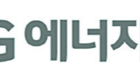 [단독] "공무원 같은 조직문화 싹 바꿔야"…LG엔솔 직원 자사비판 화제 