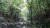 남원읍 수망리에 있는 마흐니숲길. 사진 제주관광공사