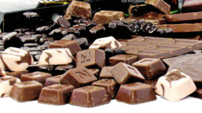 [맛있는 도전] 성인병 예방에 다이어트까지 … 초콜릿의 다양한 효능 눈길
