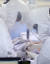 코로나19 거점 전담병원인 경기도 평택시 박애병원에서 간호사들이 환자를 돌보고 있다. 뉴스1 