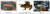 31일 생태계교란 생물로 새로 지정되는 '브라운송어'(왼쪽)와 생태계위해우려 생물에 추가되는 '아프리카발톱개구리'(가운데), '피라냐'(오른쪽). 자료 환경부