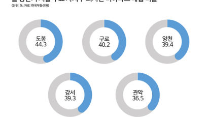 서울 단독·빌라 30% 외지인이 매수…올 들어 가격 32%상승