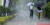 천둥·번개를 동반한 소나기가 내린 지난 6월 28일 전북 전주시 전북대학교 신정문에서 우산을 쓴 시민들이 발걸음을 재촉하고 있다.뉴스1