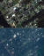 지난해 11월 루이지애나주 모습(위)과 허리케인 아이다가 휩쓸고간 지난달 31일(아래) 위성 사진 비교 모습. 지붕만 남기고 모두 물에 잠겼다. [AFP=연합뉴스]