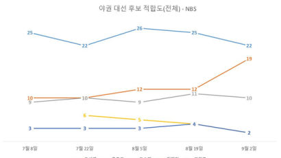 與지지층선 홍준표 7→23%...여론조사 보니 역선택 가능? [뉴스분석]