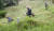 추석을 3주일여 앞둔 지난달 31일 전북 전주시 완산구 효자공원묘지에서 벌초 대행업체 관계자들이 벌초를 하고 있다. [뉴시스] 