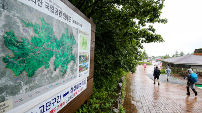 지리산 케이블카, 전남도·구례군 힘 합쳐 9년만에 재도전