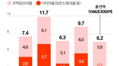 대출 조이기 효과, 가계대출 증가세 꺾였다