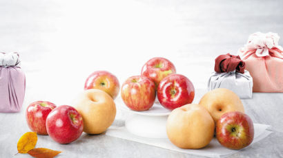 [High Collection] 사과·배 등 농업인의 정성 담긴 햇과일로 소중한 분에게 건강 선물하세요 