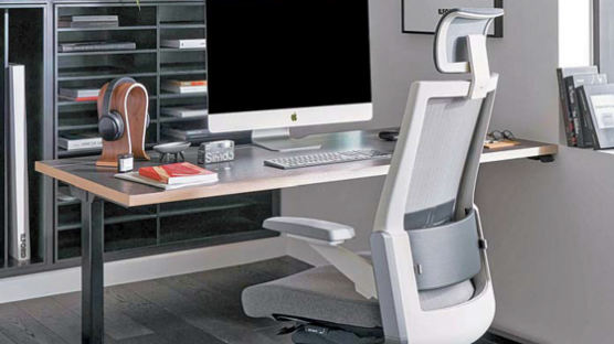 [High Collection] 몸에 맞춘 듯한 완벽한 착석감 … 감각적인 디자인의 프리미엄 의자