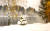 미하일 쿠가츠, 초겨울, 2014, 79x109cm, 카드보드에 오일. [사진 갤러리 까르찌나]