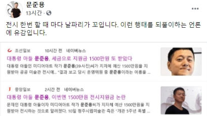 "전시때마다 날파리 꼬인다"던 문준용 "직접 보고 평가해달라"