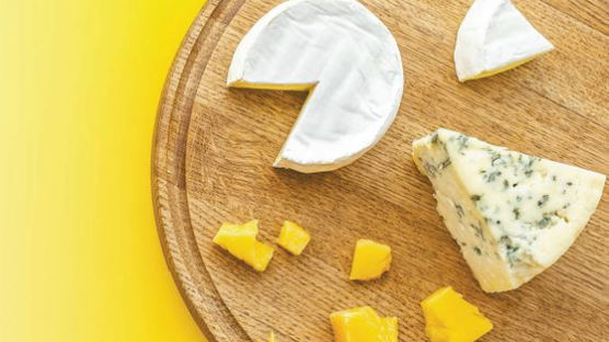[건강한 가족] 블루·고르곤졸라 치즈에 살라미·와인 알레르기 반응 조심해야 해요