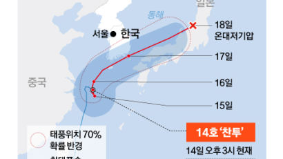 한눈에 보는 세상, 사진으로 읽는 하루…14일 국내엔 지금 무슨 일이?