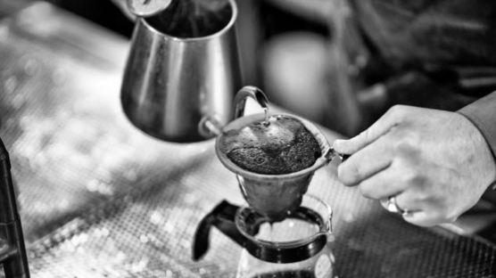 [라이프 트렌드&] 풍부한 향과 맛 ‘제주 스페셜티 커피’ 수도권에서도 선보인다