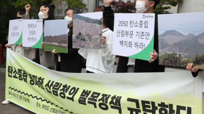 '모두벌채' 30㏊ 이상 안된다…산림청, '민둥산 논란'에 벌채면적 축소