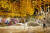 문화제조창과 청주시 일원에서 열리고 있는 청주공예비엔날레에 전시된 인도네시아 작가 물야나의 ‘심연 속으로’. [사진 청주시]