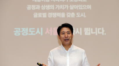 서울시, 10년 플랜에 48조 쓴다…吳 "시민단체 방만지원 줄여 마련"