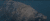 미국 캘리포니아주 새크라멘토 강의 치누크 연어. 살갗에 온통 곰팡이로 뒤덮였다. [WP 캡처]