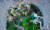 거제식물원 안 거제정글돔은 작은 열대 세상이다. 온도 22~30도, 습도 60~75%를 유지한다. 사진 거제시