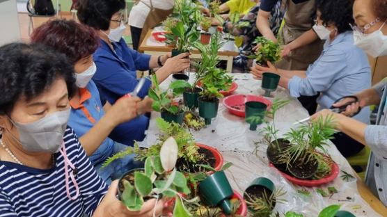 경복대학교 작업치료과-㈜넷그린, 서울청량정보고 성인대상 원예작업치료프로그램 재능기부 봉사활동