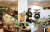 16일 AK플라자 분당점에 있는 식물 편집샵 '가든어스'에서 조민희·조현희(왼쪽부터) 플랜트 매니저가 플랜트 호텔 서비스를 이용하고 있는 고객의 반려식물을 관리하고 있다. 우상조 기자