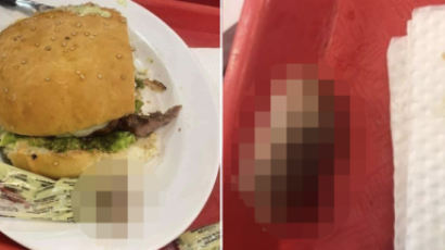 햄버거 먹다 '사람 손가락' 와그작…공포의 인육버거 매장 폐쇄