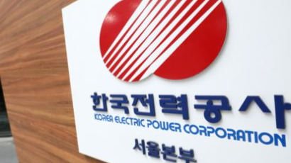 전기료 올리는 한전…직원 8명중 1명 억대 연봉 '사상최대'